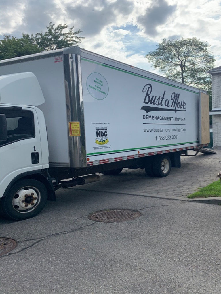 Photo by William Whitford of Bust a Move - Large