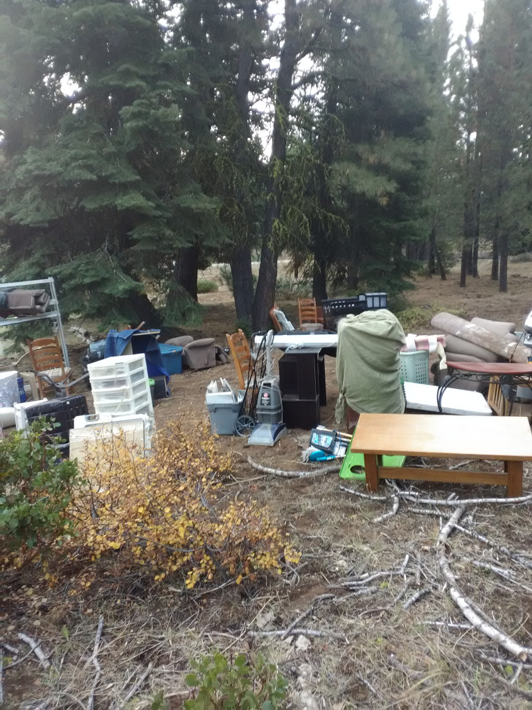 Second photo by Michelle Felipe of Touch of Class Movers - Large