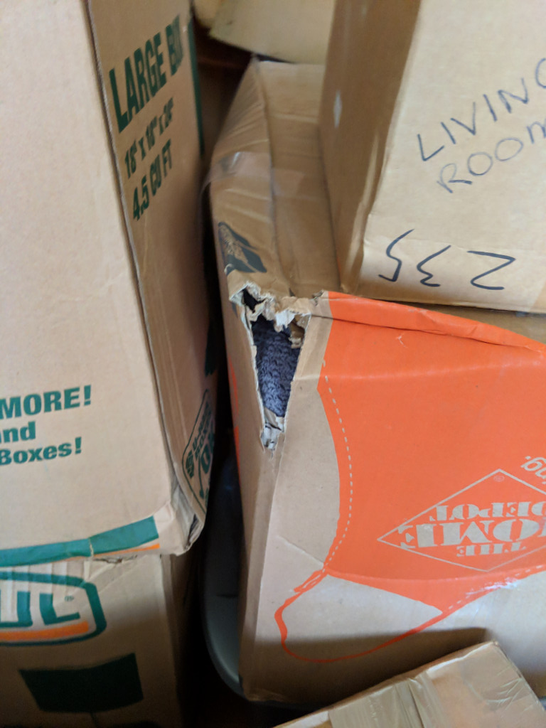 Second photo by Christina Thomas of Oasis Moving and Storage - Large