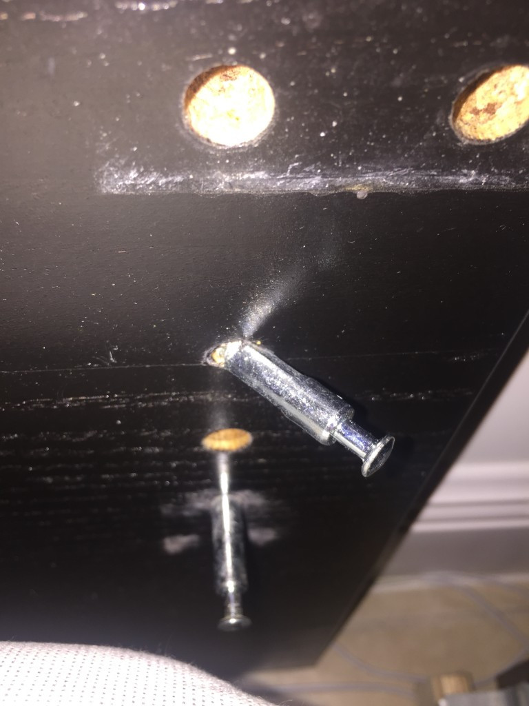 Photo by Ciara Joseph of ID Noble Movers - Large