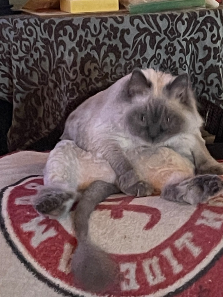 Second photo by Mark Slay of All My Sons Moving and Storage - Large