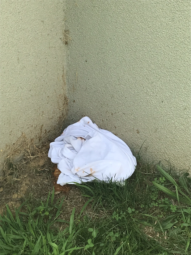 Photo by Gillian S of Best Interstate Moving and Storage - Large