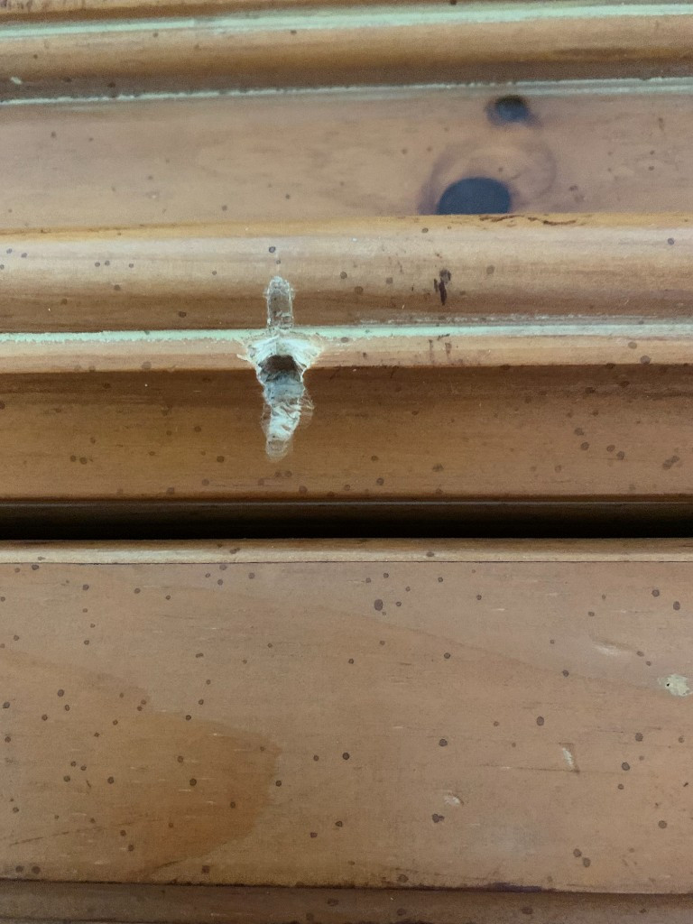 Second photo by Linda A Murphy of Trinity Relocation Group - Large