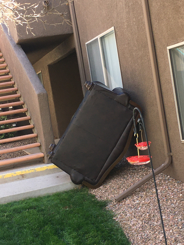 Photo by Craig May of Joe's Moving - Large