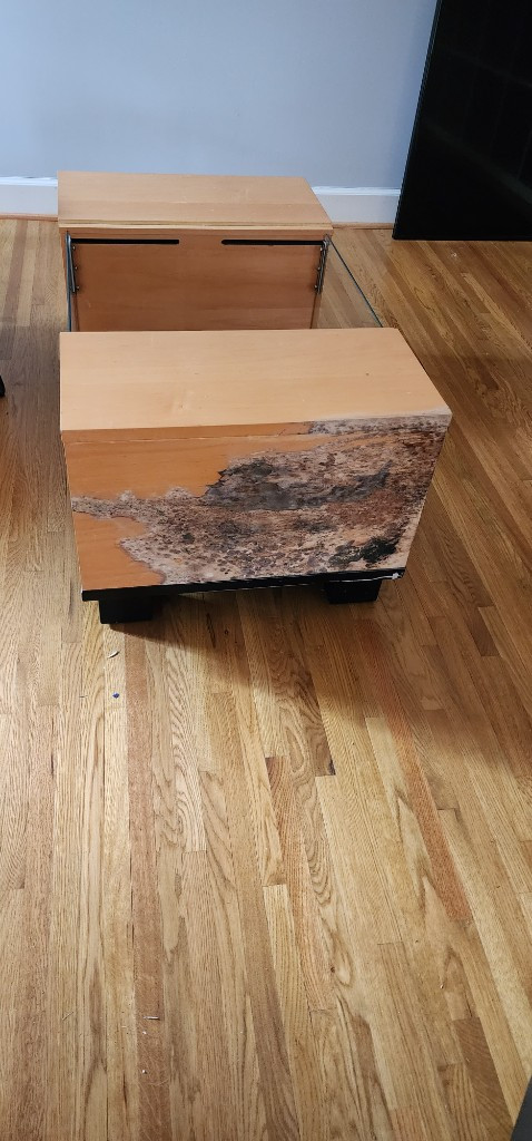 Second photo by Gretchen Skalka of Safe Van Lines LLC - Large