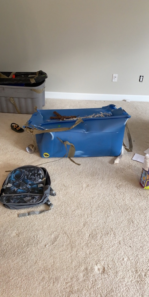 Second photo by Stephanie Gill of Oasis Moving and Storage - Large