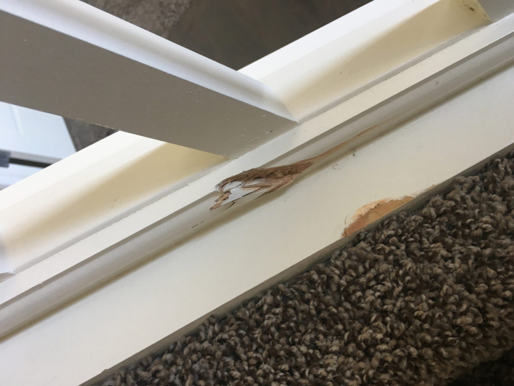 Second photo by Jodi Holthouser of Special Ops Moving - Large