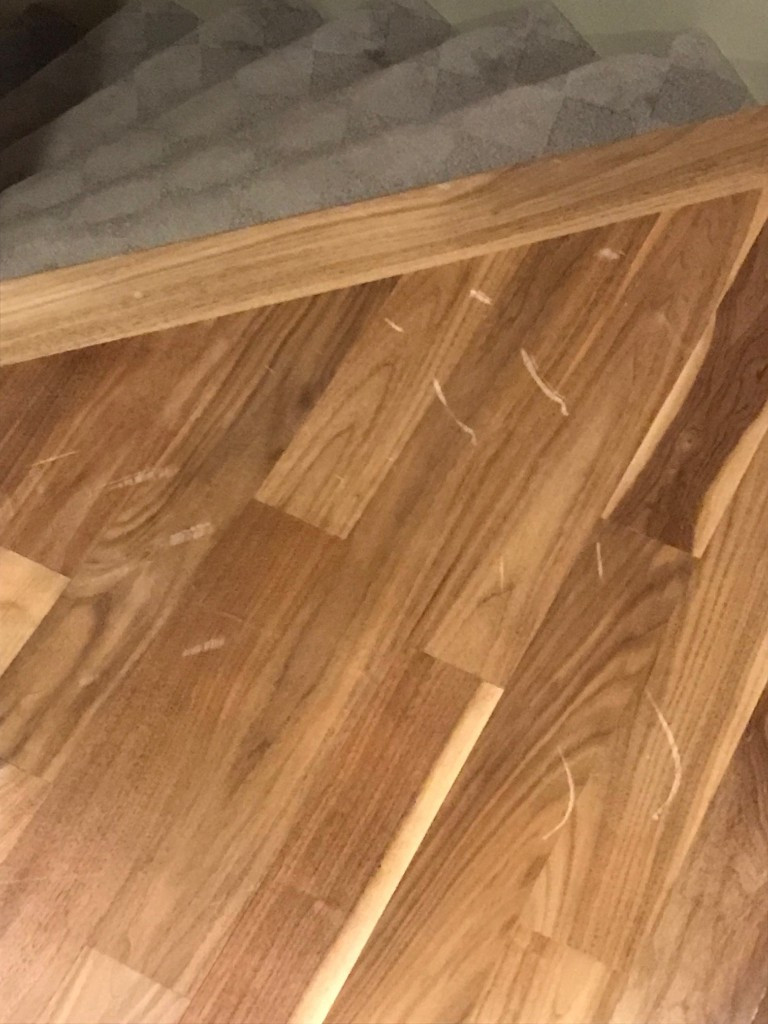 Photo by Lynda Watson of West Coast Movers Canada - Large