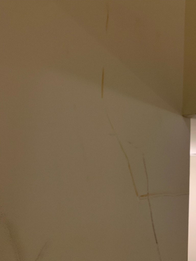 Second photo by Roger Kornegay of Milestone Relocation Solutions - Large