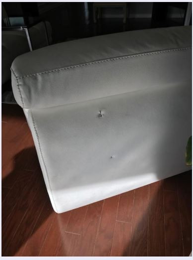 Photo by Janice Jacobs of Low Movers - Large