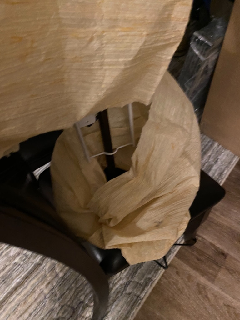 Photo by Kevin Banks of CalState Moving - Large