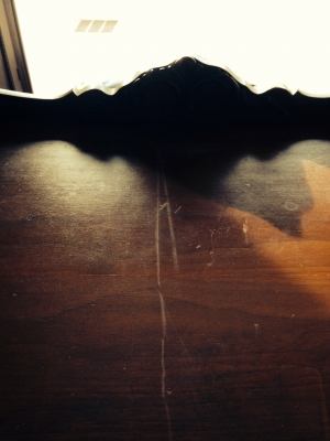 Photo by Jaime Isley of Primary Moving & Storage - Large