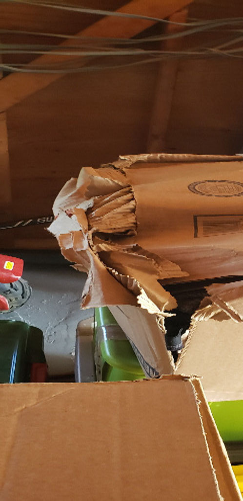 Photo by James Hollingsworth of Black Bear Moving & Storage - Large