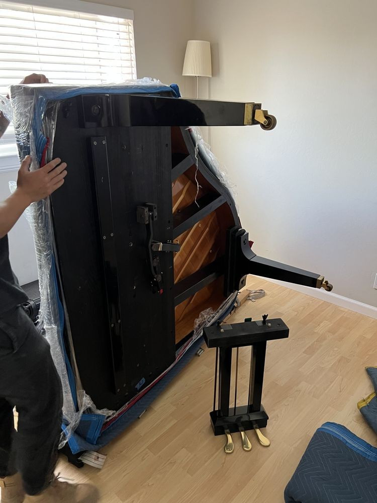 Photo by Kate Miah of Northern Moving Systems - Large