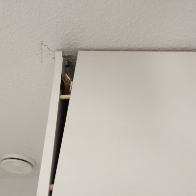 Second photo by Britta Mittler of RST-Systemtrans - Large