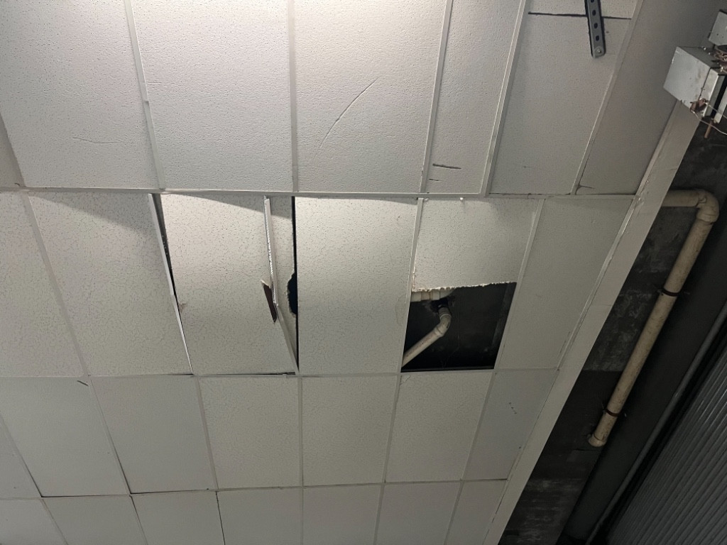 Photo by Steve Cooney of Trinity Relocation Group - Large