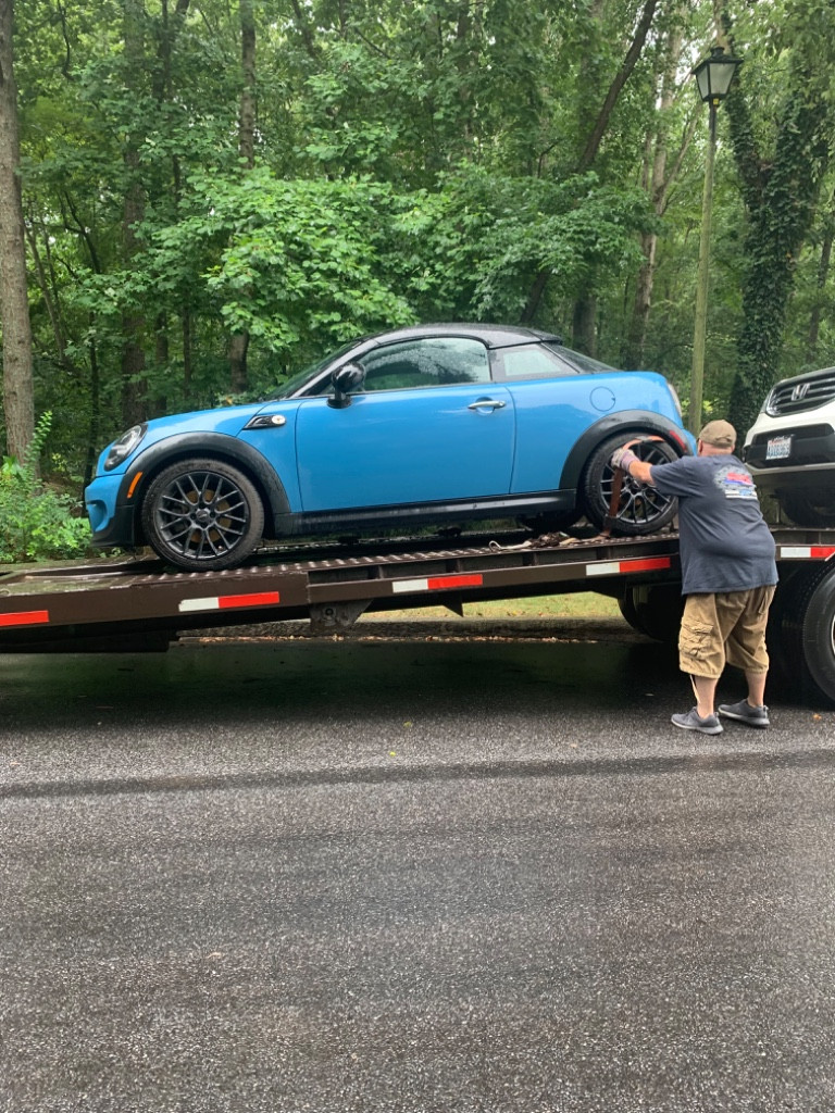 Photo by Suzanne Buchanan of Sonic auto transport - Large