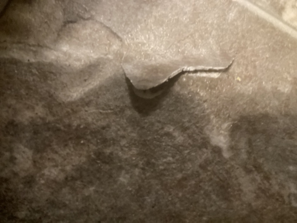 Second photo by Catherine Naber of The Right Movers - Large