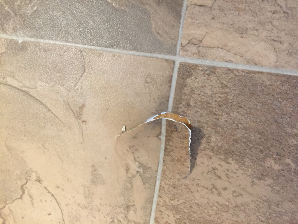 Photo by Sharon West of Stevens Van Lines - Large