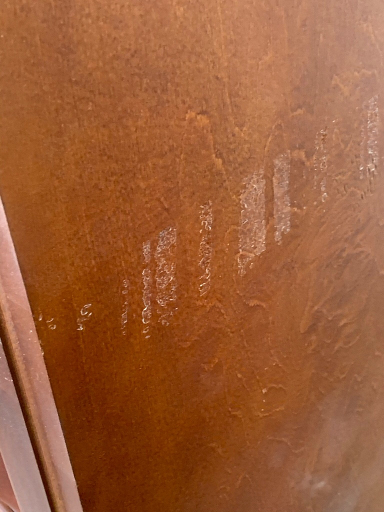 Photo by Michelle Musielak of American Standard Moving & Storage - Large