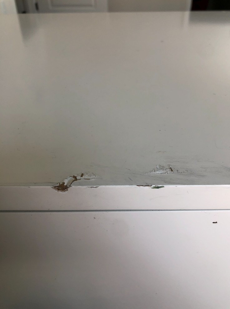 Photo by Joni Sweet of FlatRate Moving - Large