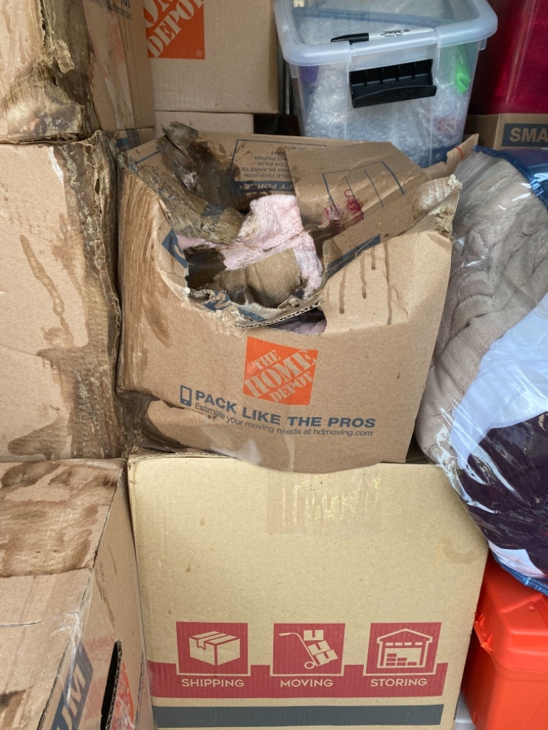 Second photo by Rachelle Lewis of All My Sons Moving and Storage - Large