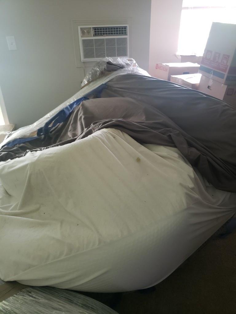 Second photo by Rachel Vang of Belmont Moving and Storage - Large