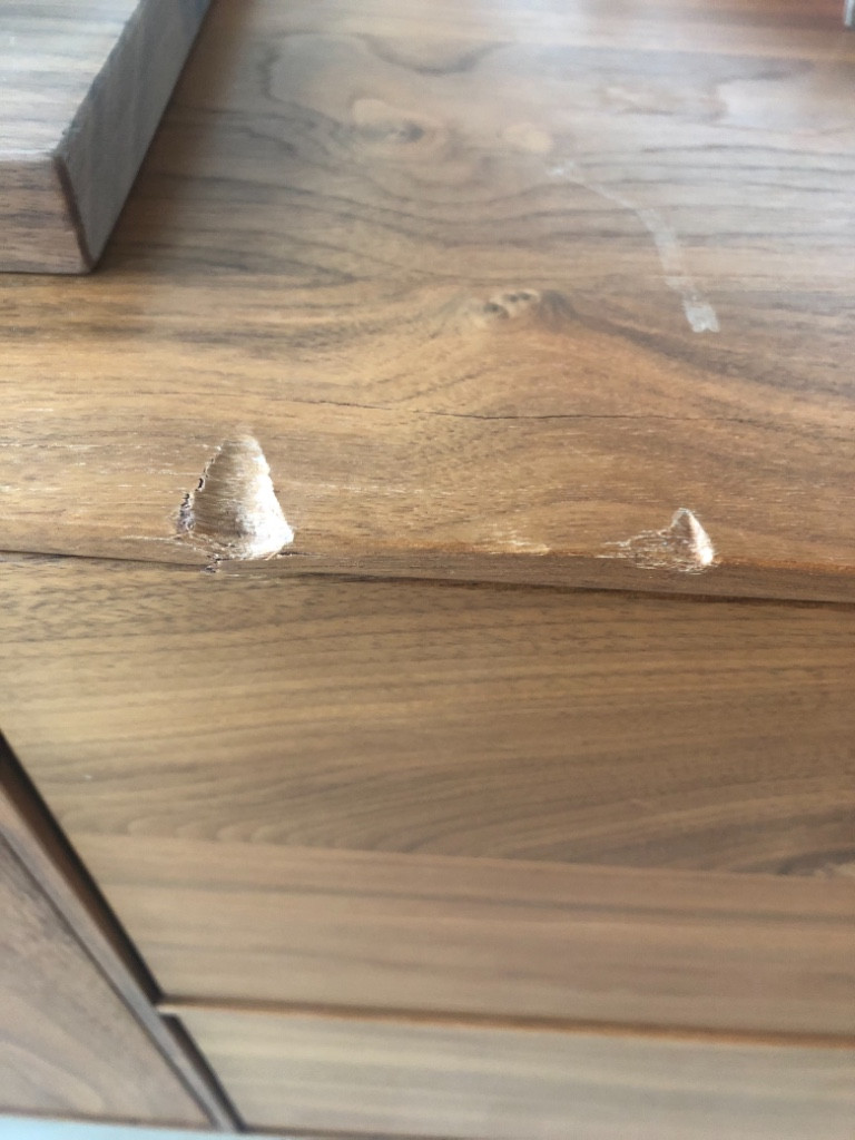 Photo by Janet He of Shleppers Moving & Storage - Large