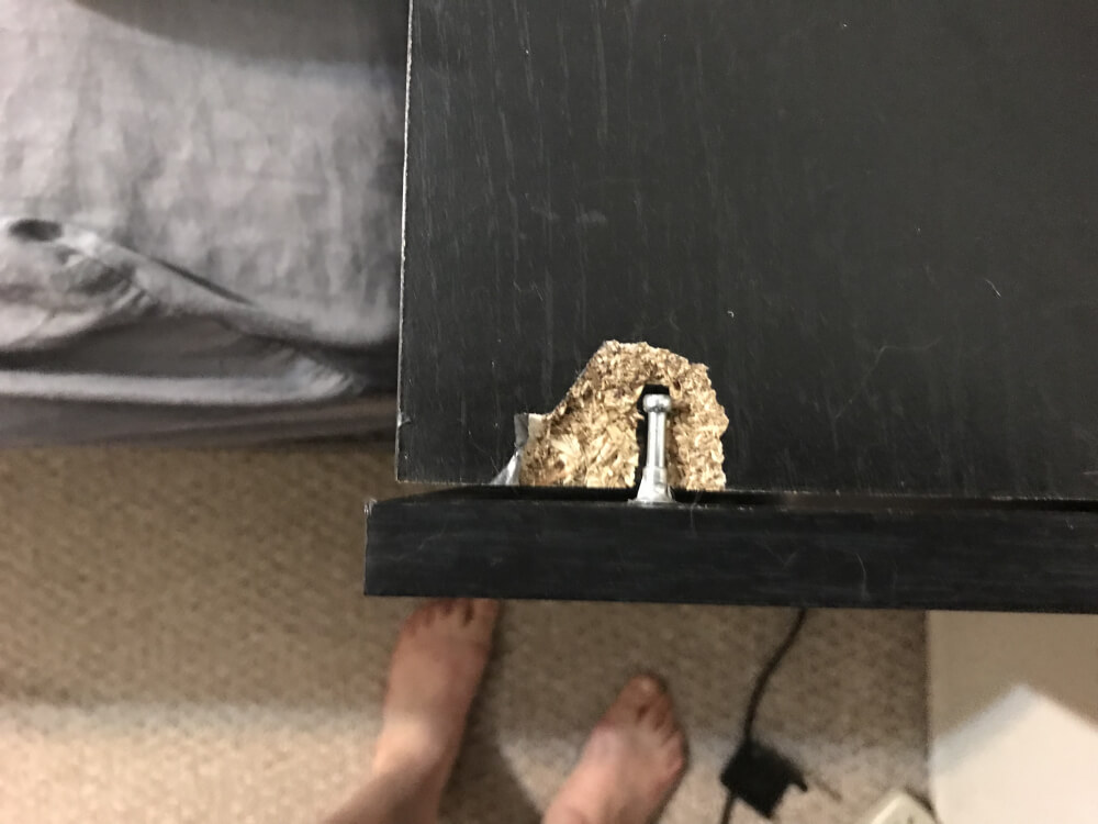 Photo by Deanna of Long Distance Relocation Group Inc - Large