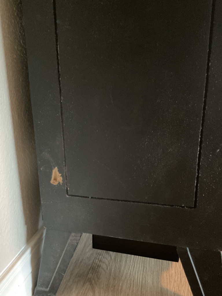 Photo by Gloria Eubank of Allegiance Van Lines LLC - Large