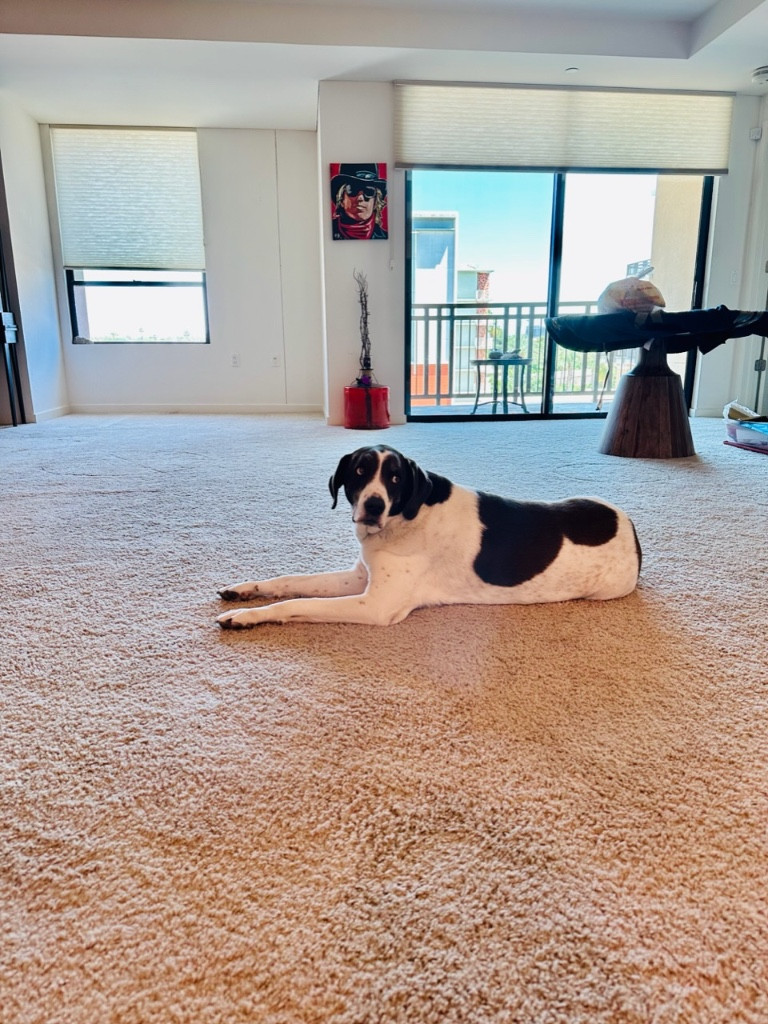 Photo by Nana Pink of Muscular Moving Men - Large