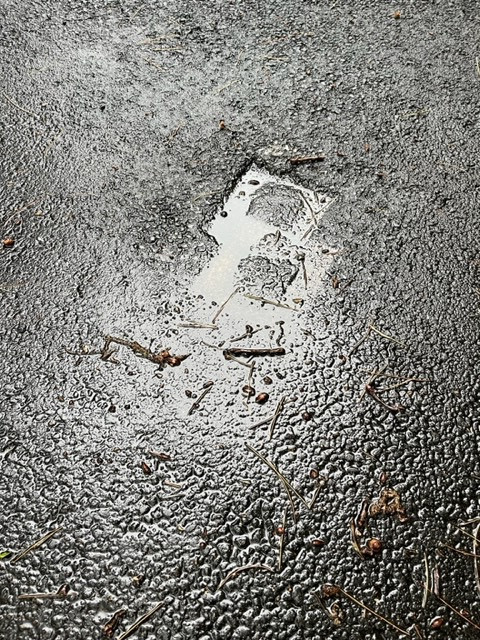 Second photo by Julia Bennett of PODS Moving and Storage - Large