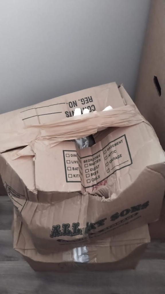 Photo by Daniel Schlegel of All My Sons Moving and Storage - Large