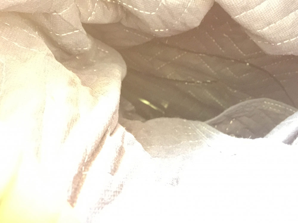 Photo by Hari Krishna of Coastal Moving Group - Large