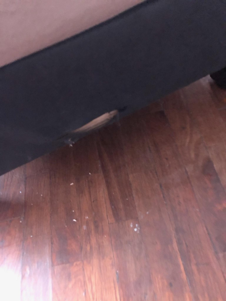 Second photo by Rebecca S Gilfert of Cross Country Moving Group - Large