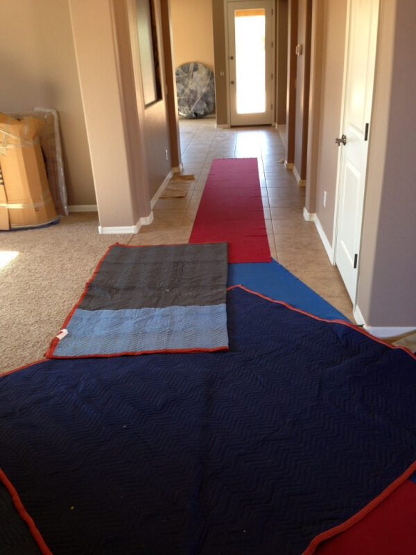 Photo by Emily of Raptor Мovers - Large