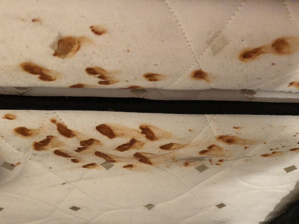 Photo by Georgina Jackman of 2 Burley Men Moving - Large