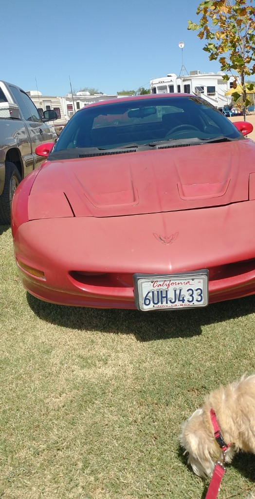 Photo by Autumn Donan of Sonic auto transport - Large