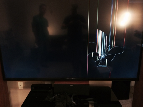 Photo by Charles of Oasis Moving - Large