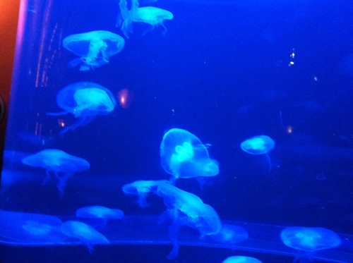 Photo by Wanda Cannon of All Around Moverz LLC - Large