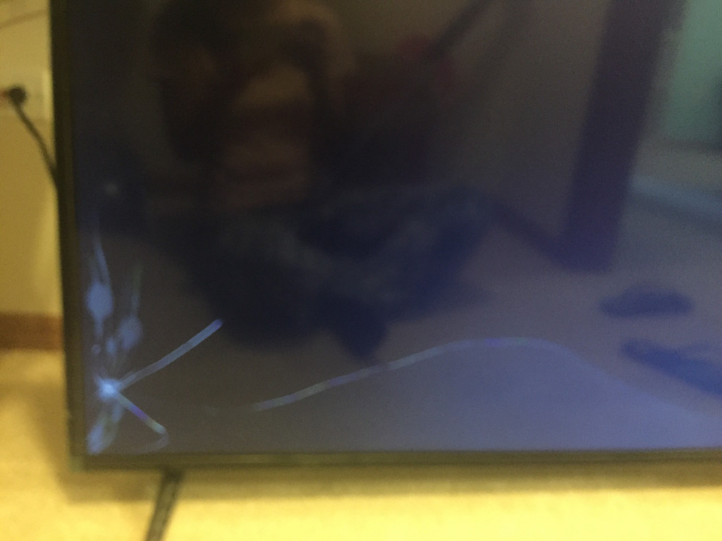 Photo by Rosa Ferreira of Two Men and a Truck - Large