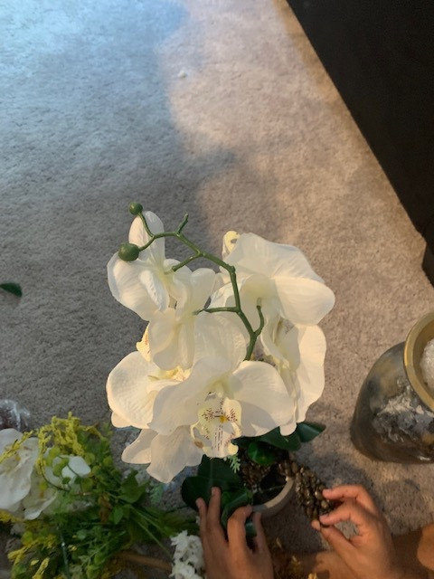 Photo by Alexus Thomas of Jaguar moving - Large