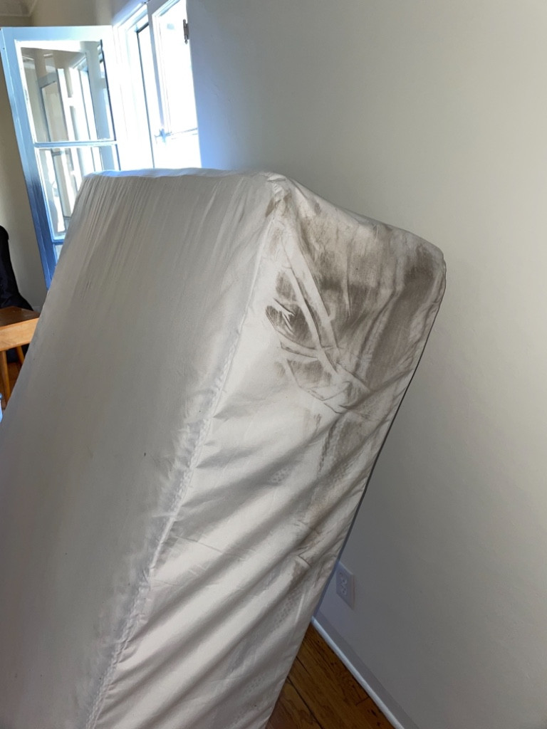 Photo by Alex Vander of Green Leaf Moving and Storage LLC - Large