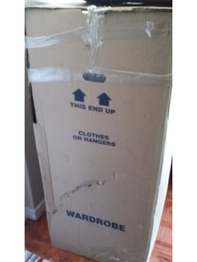 Photo by Paul Hiol of Transnational Moving Systems - Large