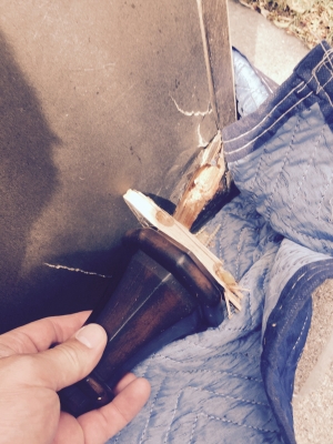 Photo by Kelly Payne of Long Distance Van Lines - Large