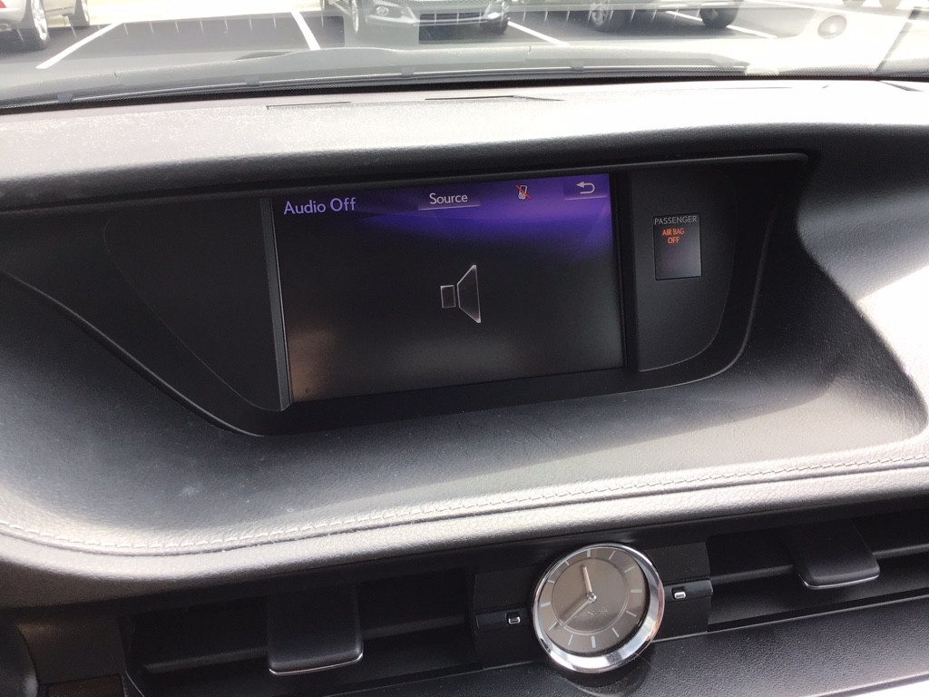 Photo by Lynn Martin of New Destination Movers - Large