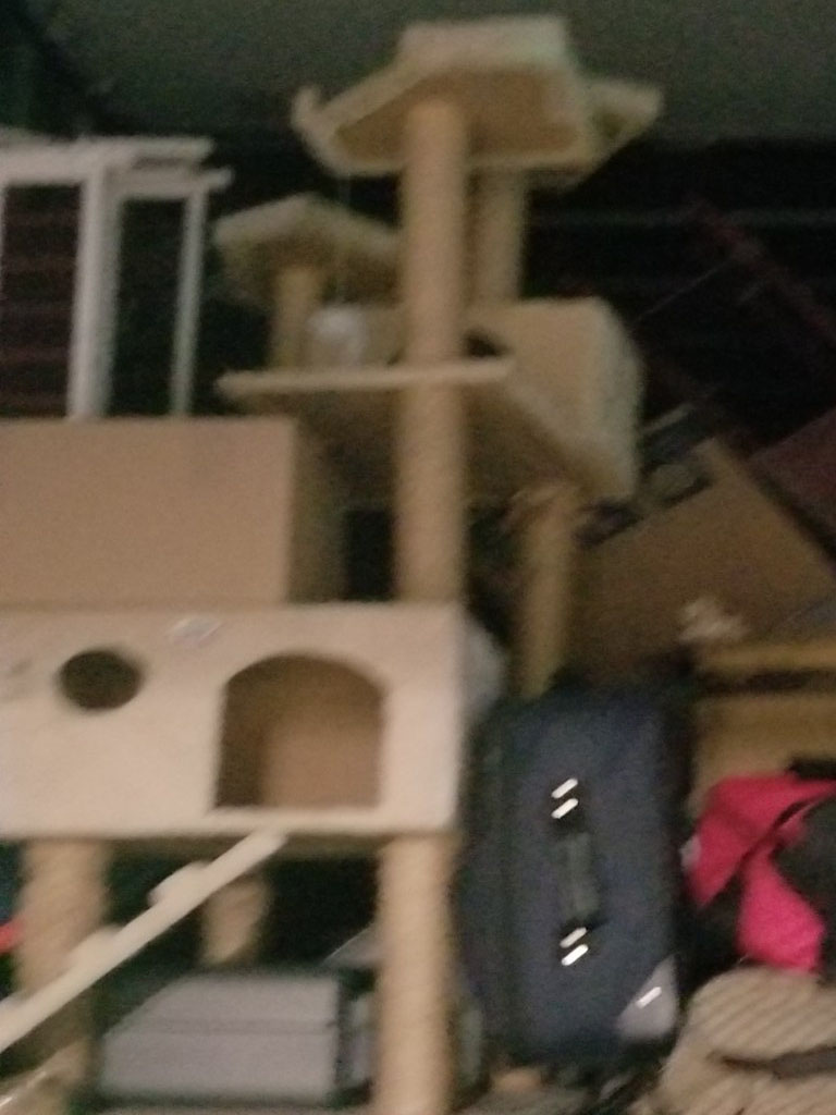 Photo by Jan Taylor of Gateway Express Moving - Large