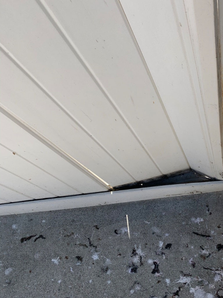 Photo by Sheri Miller of Quality Express Van Lines - Large