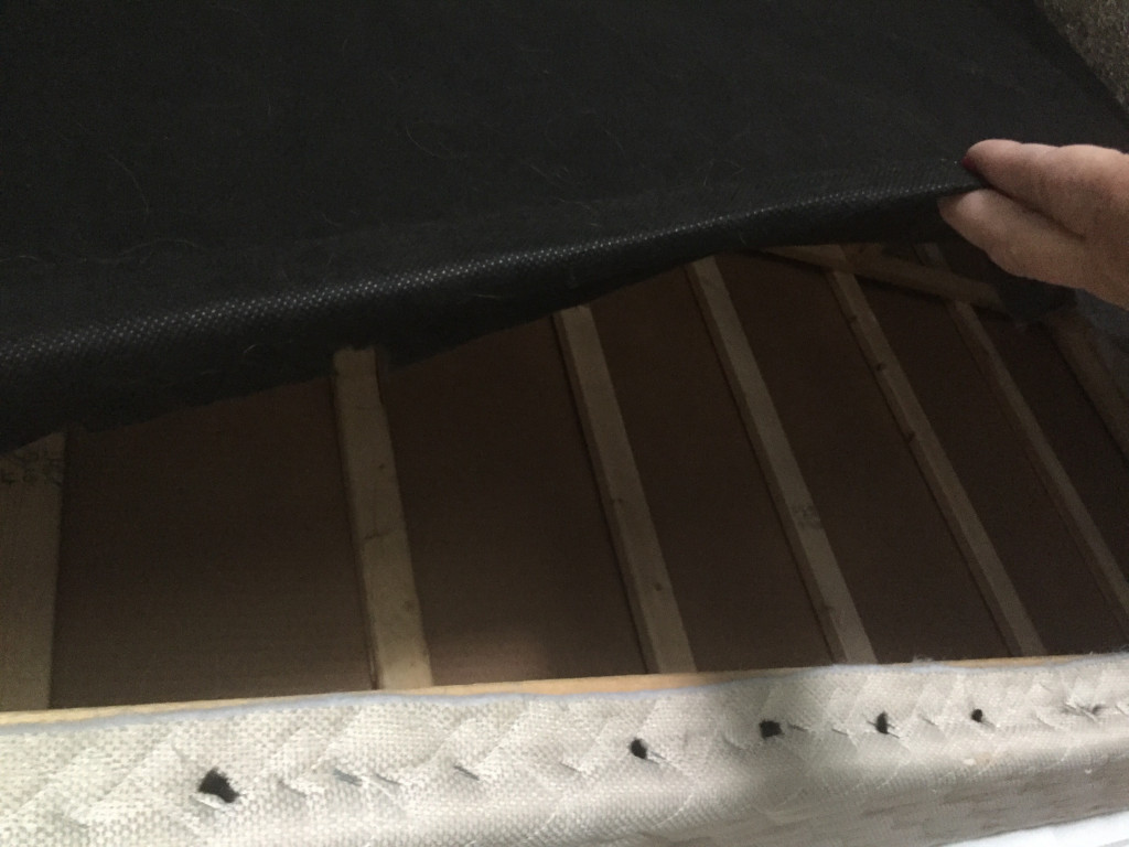 Photo by Judy Murray of Unique Van Lines - Large