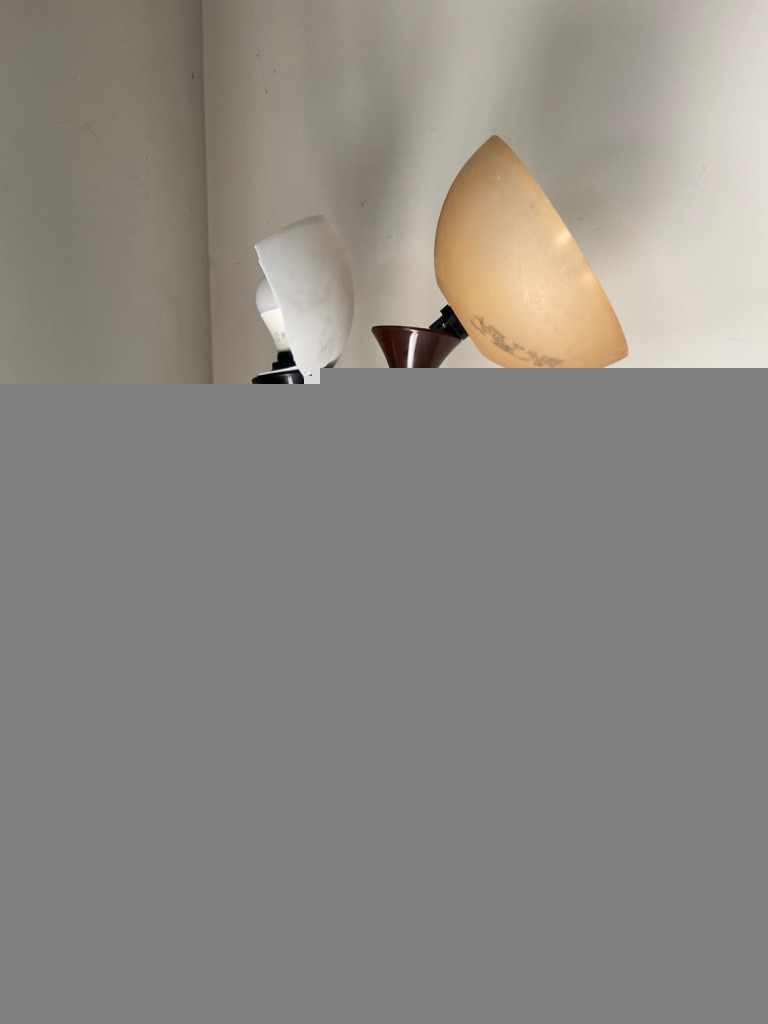 Photo by Satish Vedhanabhatla of Navistar Van Lines LLC - Large